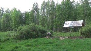 Вкусняшки для кабанов. Чем мы прикармливаем кабанов летом Чем кормить кабана в лесу