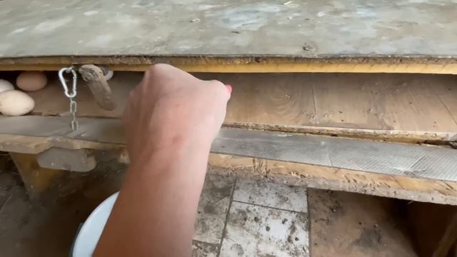 Лучше ГНЕЗД ещё не придумали ГНЕЗДА ДЛЯ КУР НЕСУШЕК своими руками смотреть онлайн