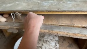 Лучше ГНЕЗД ещё не придумали ГНЕЗДА ДЛЯ КУР НЕСУШЕК своими руками