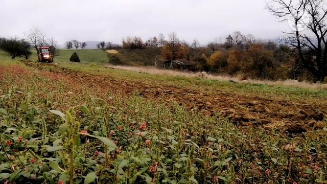 11 ноября 2020 г. смотреть онлайн