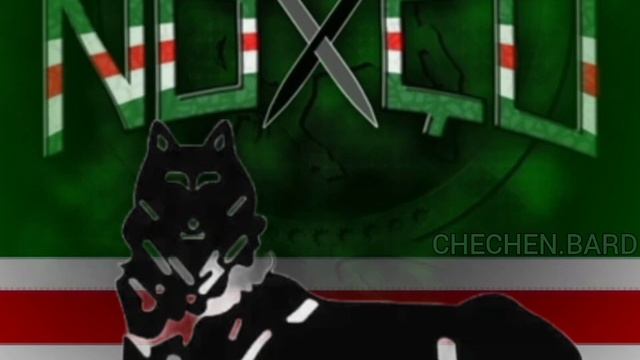 ХРАБРЕЙ ВОЛКА, СИЛЬНЕЙ ВОЛКА, ШАКАЛ НЕ БУДЕТ НИ КОГДА. песня Заура Магемодова смотреть онлайн