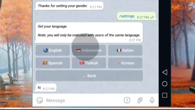 Bot Cari Pacar menggunakan Bot Telegram смотреть онлайн