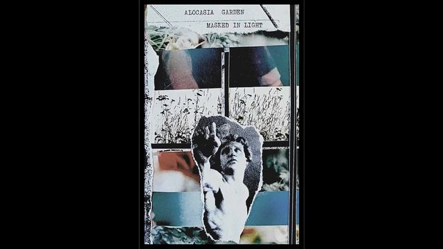 Alocasia Garden - Lost Ground