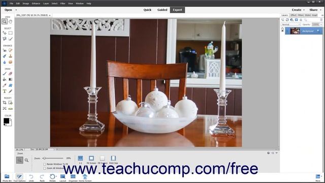 Learn How to Use the Panel Bin and Taskbar in Adobe Photoshop Elements 2022: A Training Tutorial смотреть онлайн