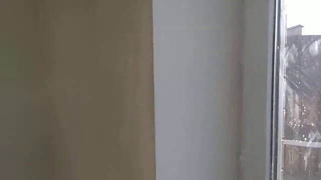 23 мая 2019 Рябиновая 2 в