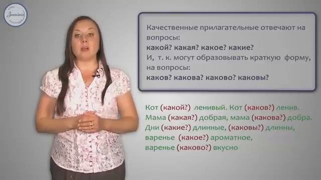 Имена прилагательные качественные, относительные и притяжательные смотреть онлайн