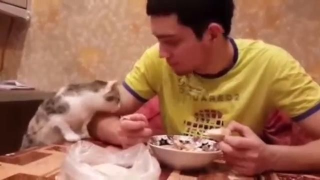 С постом можно и ласты склеить смотреть онлайн
