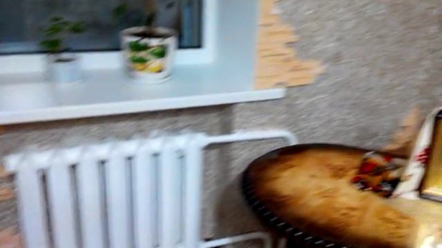 Жидкие обои на стене)))