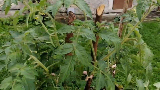 ИТАЛИЯ. БОЛТАЛКА.КУДА Я ПРОПАЛА?? смотреть онлайн