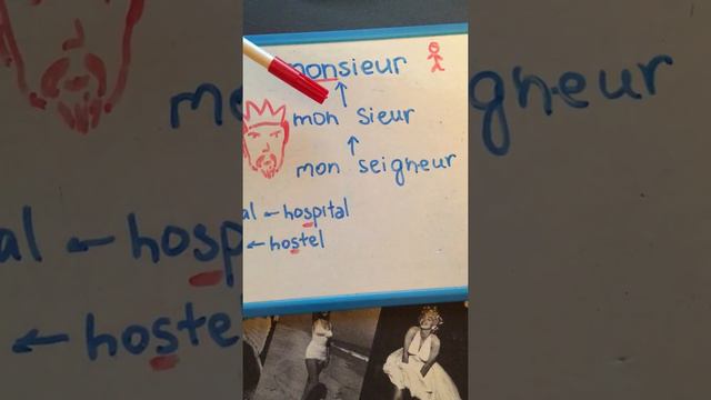 Отчеты о спорте