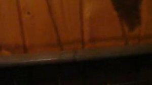 ВЭФ 101 vef-101stereo+ас40-8 Виктория 001