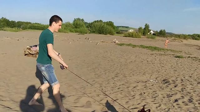Смертельная хватка французского бульдога смотреть онлайн