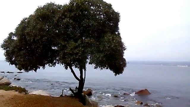Beautiful Moments: Algarrobo, Chile. Travel to Chile. Путешествие в Чили смотреть онлайн