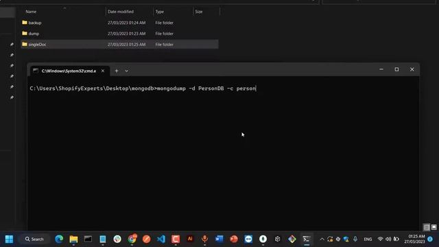 Backup and Restore with Mongodump and Mongorestore | Backup and Restore in Mongodb смотреть онлайн