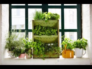100 интересных идей оформления Огорода на балконе
