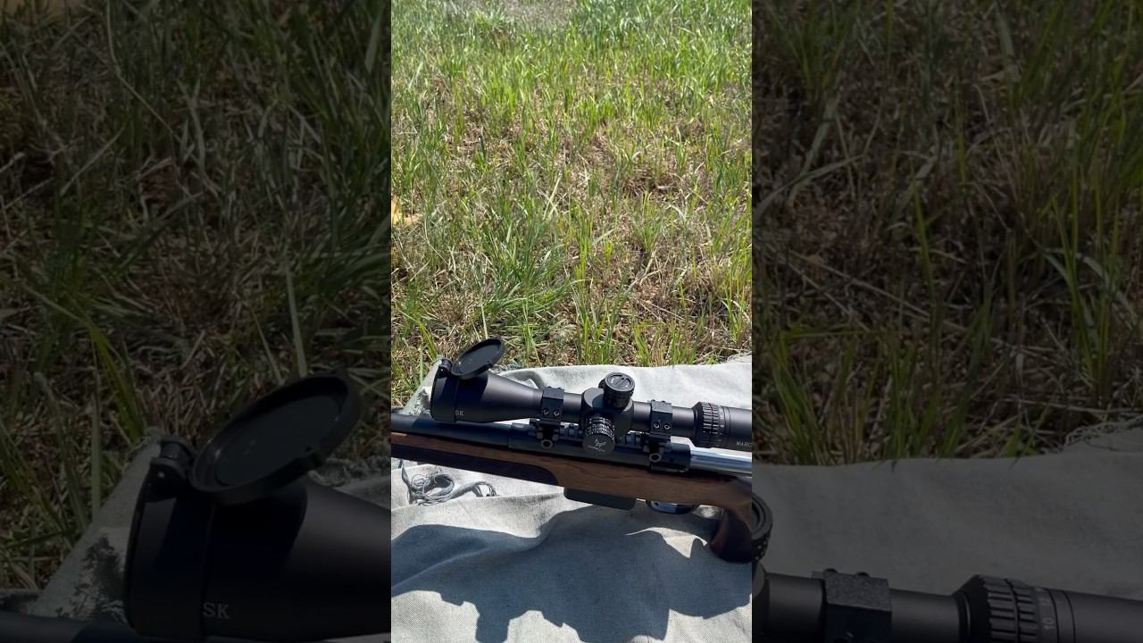 Охота на сурка, отчет второй день охоты #охота #охотаназайца #охотанагуся смотреть онлайн