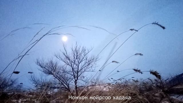 Чтение стихотворения Бавасана Доржиевича Абидуева "Сонхоор малайhан hара" смотреть онлайн