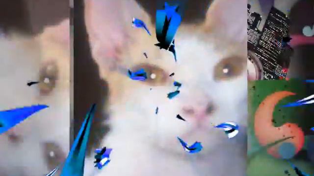 Dimitri Cowboy Claws Peterbald Brush Coat Kitten смотреть онлайн