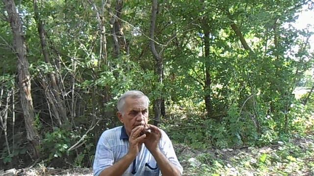 Galust Grigori смотреть онлайн
