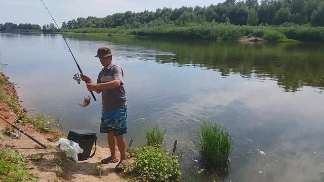 БЕШЕНЫЙ КЛЕВ ОКУНЯ НА ДОНКУ В АСТРАХАНИ! смотреть онлайн