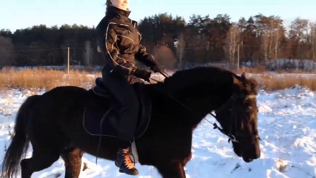 Поле...Закат... Галоп... смотреть онлайн