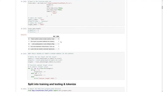 BERT for Text Classification on SAS Viya смотреть онлайн