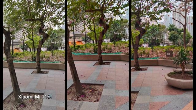 Mi 11 Vs Mi 10T Pro Vs Mi 10 Pro CAMERA TEST.