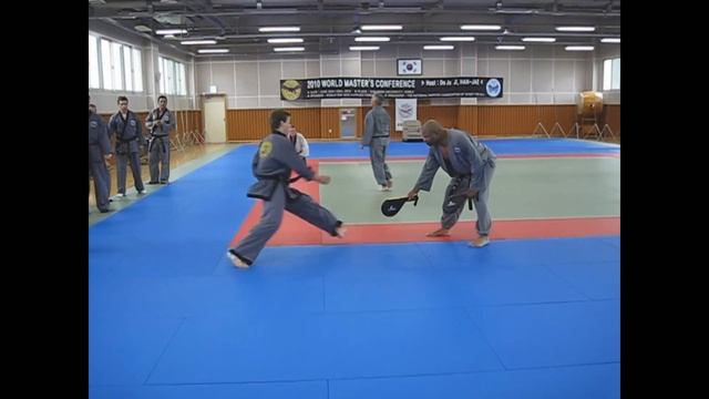 Sin Moo Hapkido