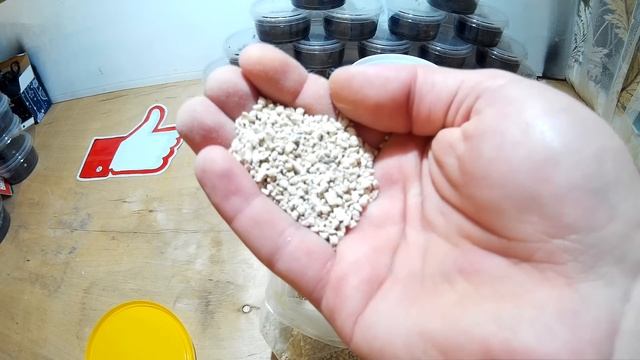 ЦЕОЛИТ В АКВАРИУМЕ. MAGIC FILLER FOR THE FILTER смотреть онлайн