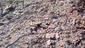 Первый стадион Шахтёр, вид с вершины террикона. Донецк 2021