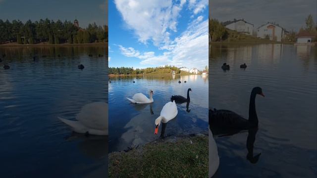 Безответная любовь 💘