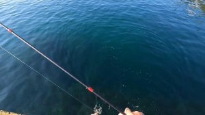 🔴ПОСЛЕ ШТОРМА НАЧАЛ СЕБЯ ПРОЯВЛЯТЬ. Морская Рыбалка На Зубаря в Крыму.