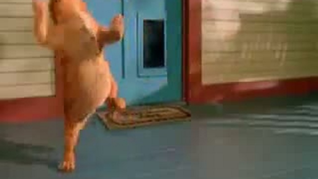 тымтымтыцтыц харошо)).flv смотреть онлайн