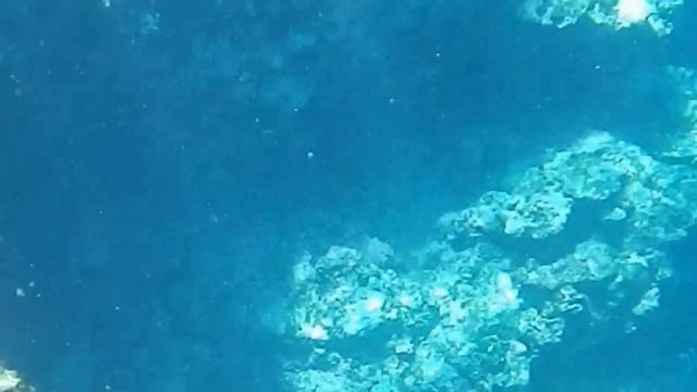 沖縄本島　南部海岸シュノーケリング11　PENTAX Optio WG-1 смотреть онлайн
