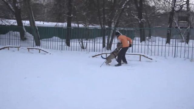 Летающая кадебо смотреть онлайн