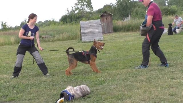 Лайка фон Эриксон смотреть онлайн