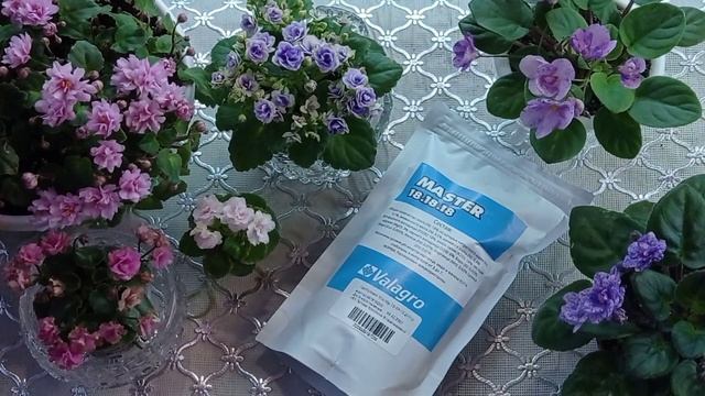 Фиалки у Алисы. Удобрения для фиалок. смотреть онлайн