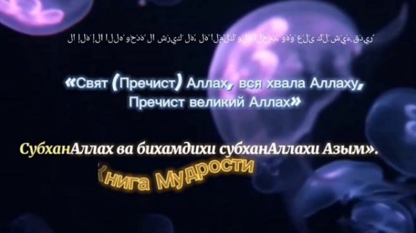 Зикр 100 раз «СубханАллах ва бихамдихи» #зікір #зикр #дуа #ислам