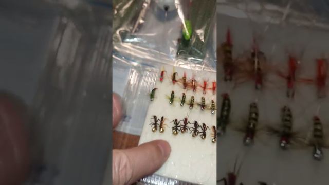 В г.Хабаровск набор готовых снастей и комплект уловистых 🦈мушек🐜 для ловли Хариуса и Ленка смотреть онлайн