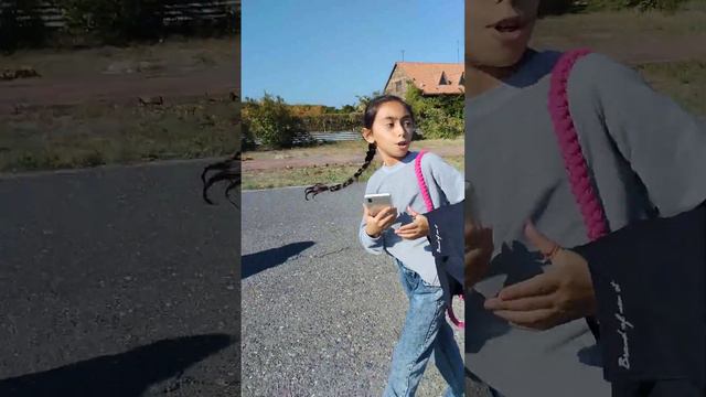 дом зарос. интерно а там живут люди смотреть онлайн