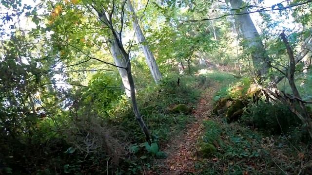 ОТКРЫТАЯ ЭНДУРО ТРЕНИРОВКА DARK PATH СОЧИ КЛАСС ЛАЙТ. ВТОРОЕ МЕСТО