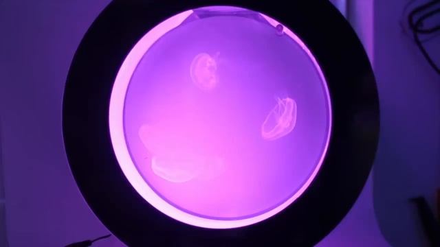 Welcome to Medusozoa Marine смотреть онлайн
