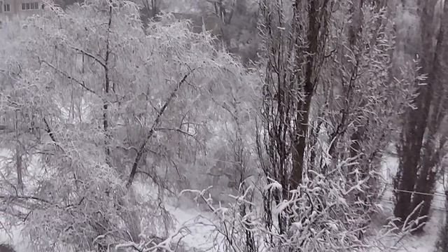 Воронеж 15 11 2015 8 00 смотреть онлайн