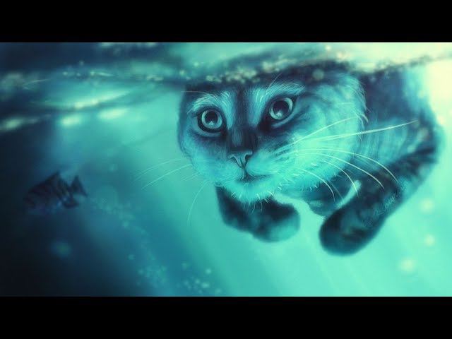 Проплыл 50м под водой смотреть онлайн