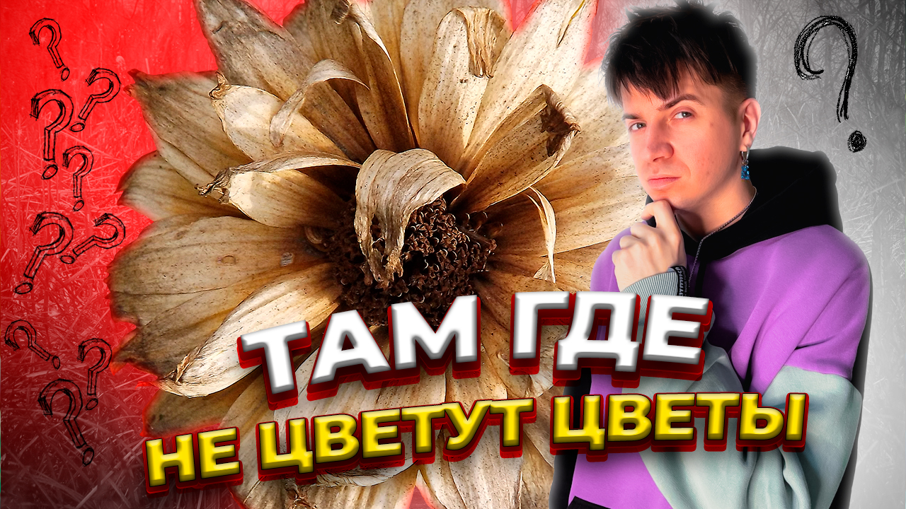 В РОССИЙ ЕСТЬ СВОЙ ГОРОД "ТЕХАС"/ГОРОД ТИХОРЕЦК смотреть онлайн