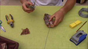 Как  прикрепить Тилландсию?  14