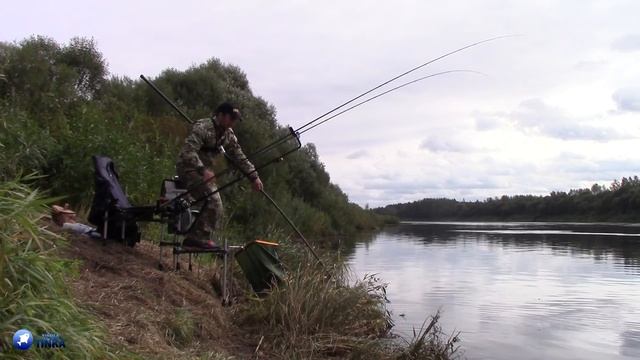 ЛЕЩИ ломают подсак. Ловля крупного леща на фидер на Двине. Сказочный жор крупного леща. смотреть онлайн