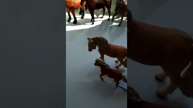 Распаковка мега лошади Collecta 😘😘😚😍