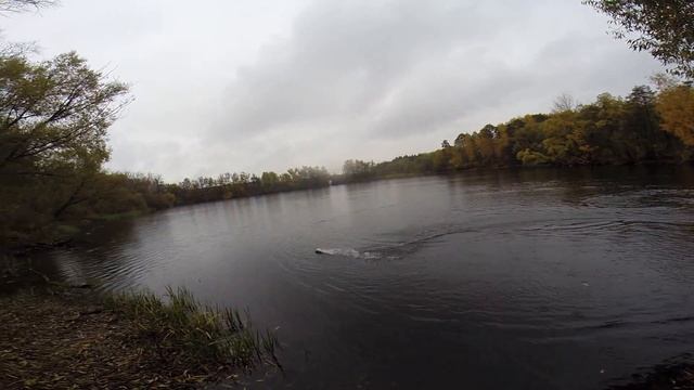 ВОСКРЕСЕНСК 10,15,2017 МОЯ ПЕРВАЯ ЛОДКА FT 009. КЛАССНАЯ !!!! смотреть онлайн