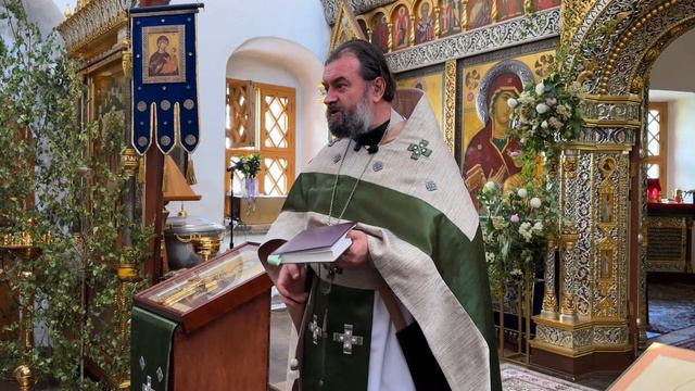 Проповедь Протоиерея Андрея Ткачев - Взираем на Начальника веры, Претерпевшего такое (2024.06.30) смотреть онлайн